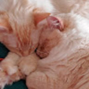 Meet your Posher, Valarie